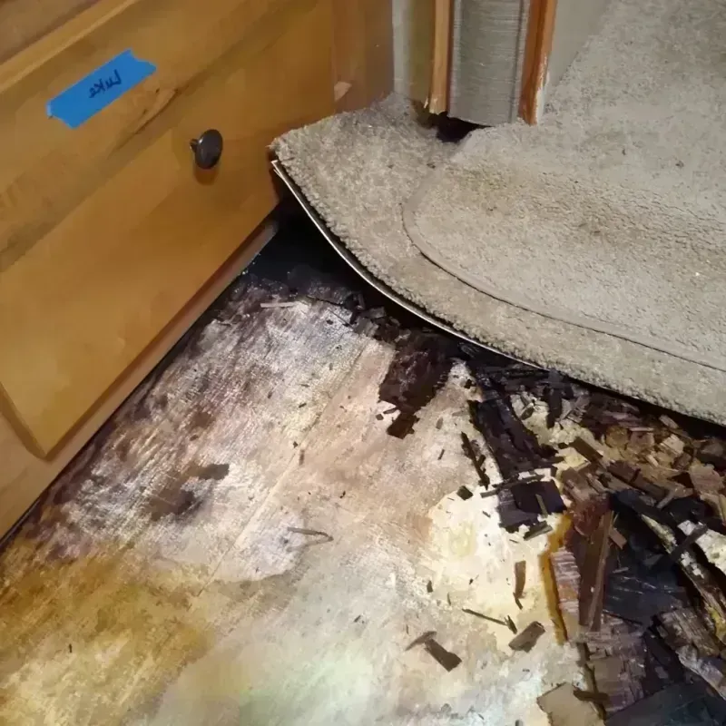 Wood Floor Water Damage in East Sonora, CA